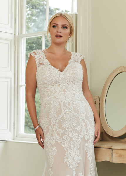 Plus Size Collection - Adore Bridal and Occasion Wear